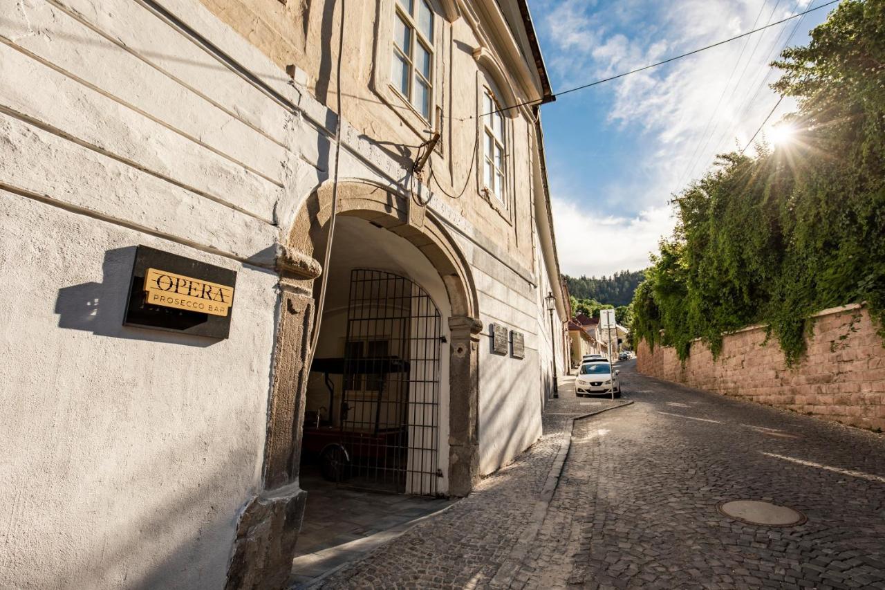 Apartman Blue Moon Banská Štiavnica Exteriör bild